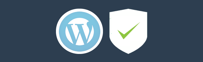 Protect your Wordpress Website